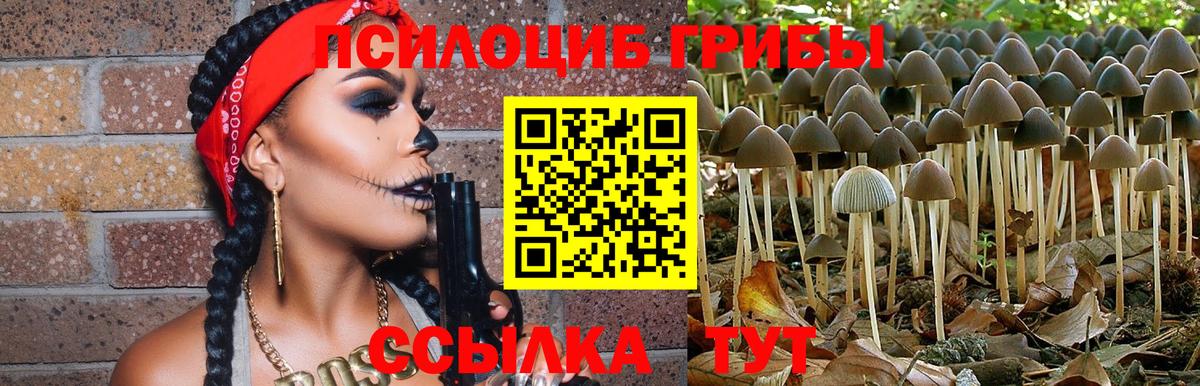 Галлюциногенные грибы Cubensis Мытищи